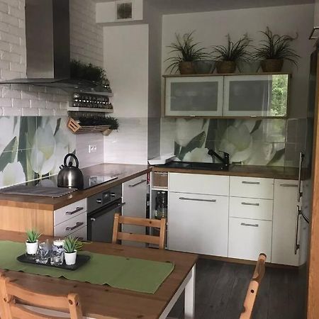 Apartment In Green Area 弗罗茨瓦夫 外观 照片